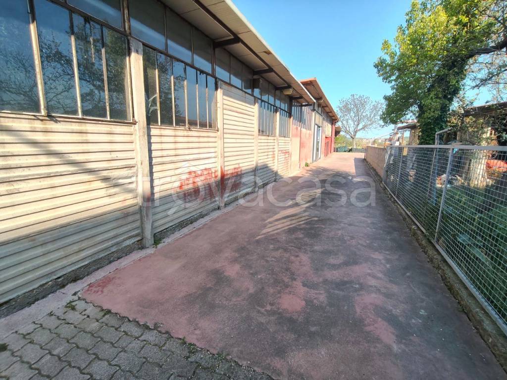 immagine annuncio 13 di 14