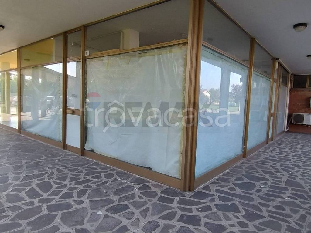 immagine annuncio 4 di 12