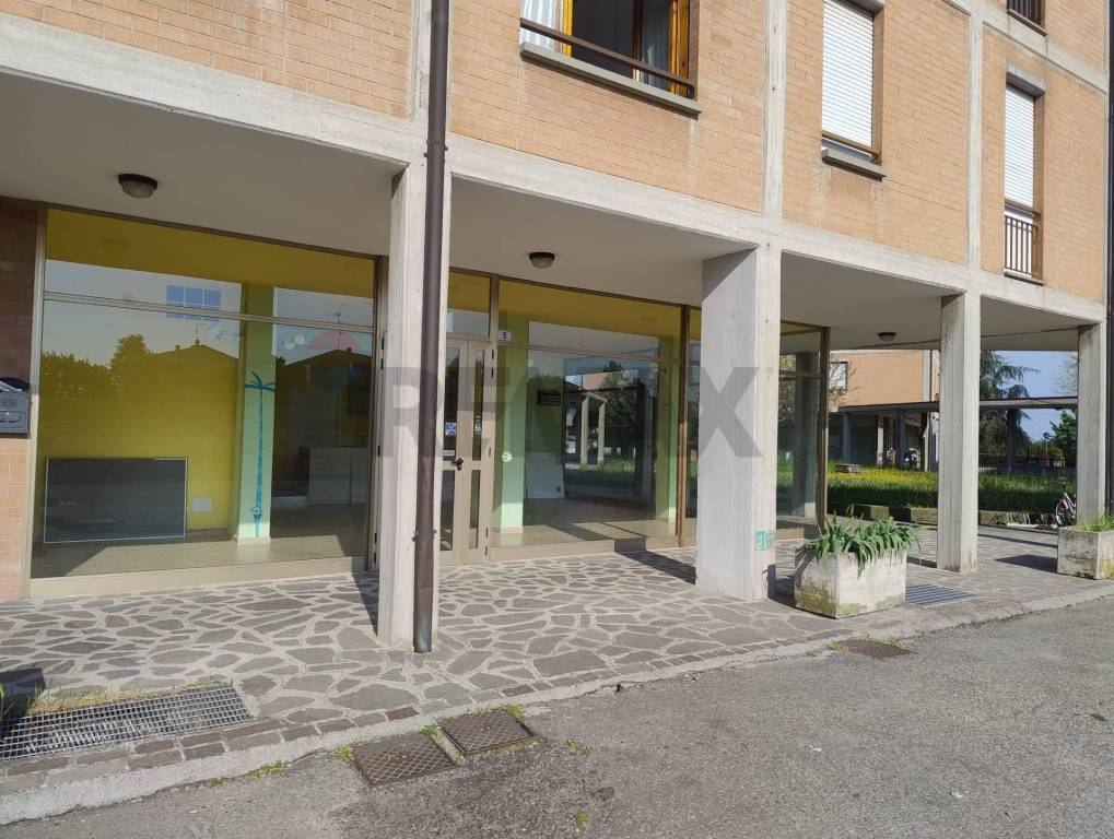 immagine annuncio 6 di 12