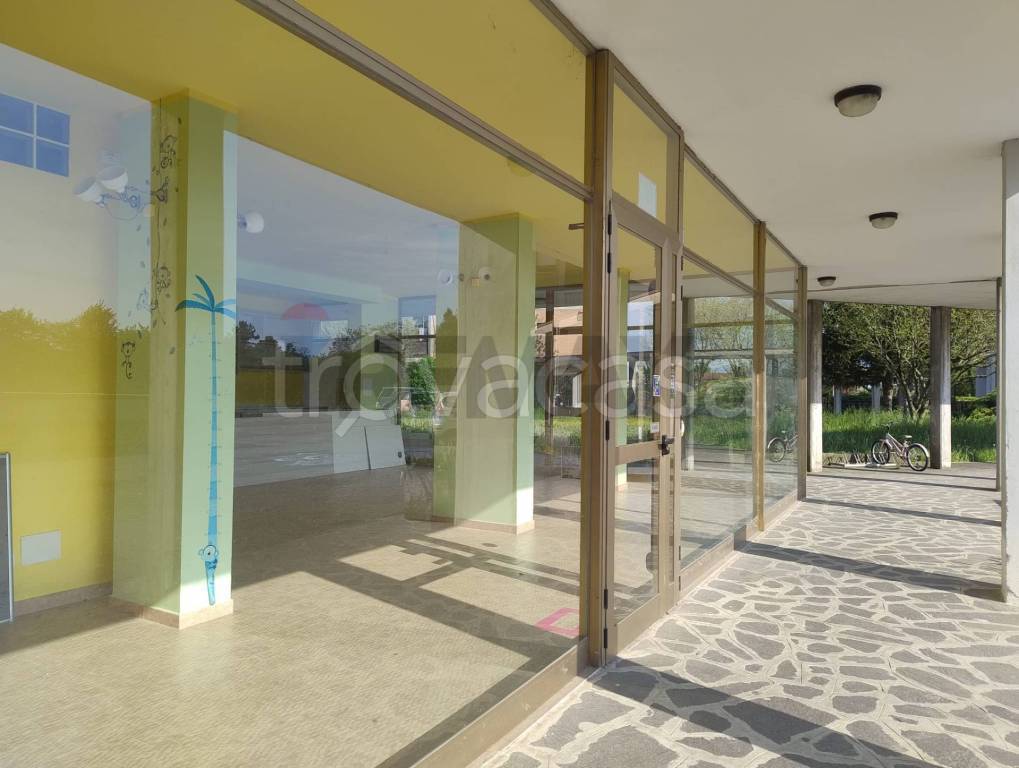 immagine annuncio 7 di 12