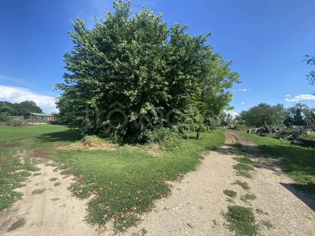 immagine annuncio 5 di 13