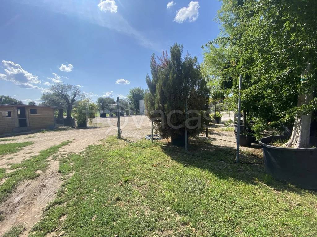 immagine annuncio 7 di 13