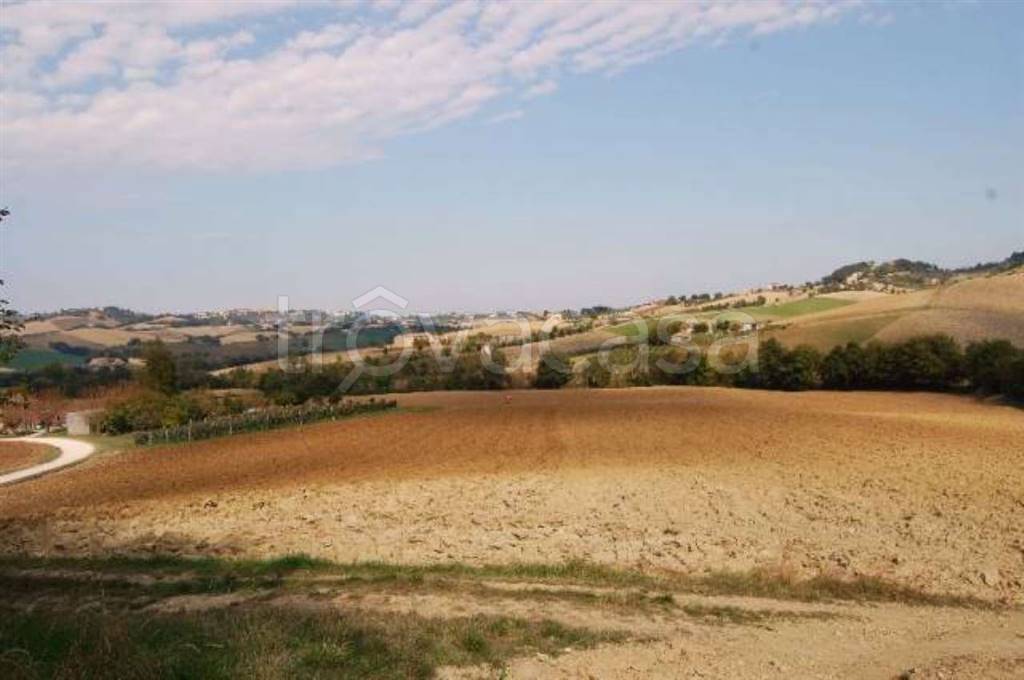 immagine annuncio 6 di 11