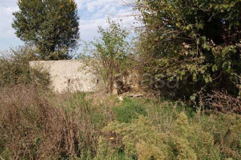 immagine annuncio 8 di 11