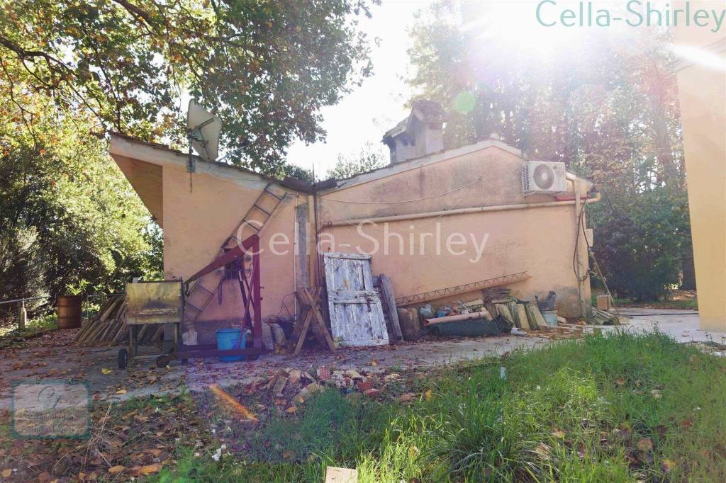 immagine annuncio 10 di 15