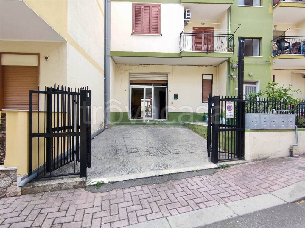 immagine annuncio 10 di 11