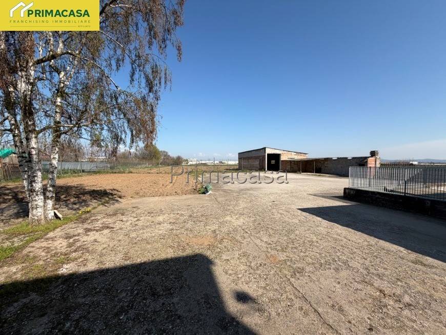 immagine annuncio 6 di 9