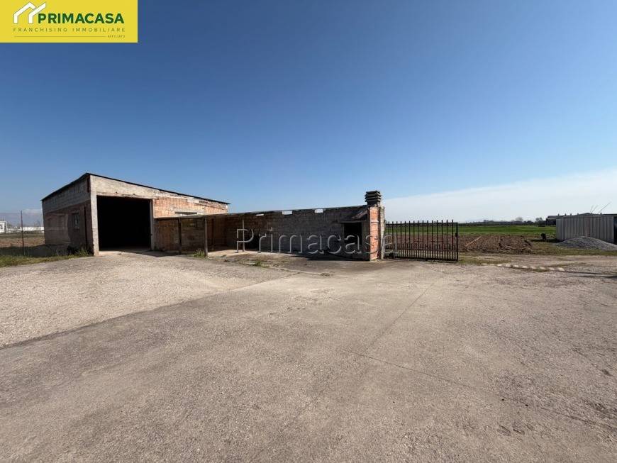 immagine annuncio 7 di 9