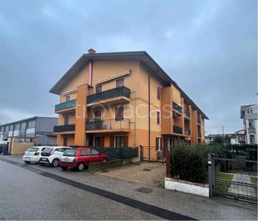 immagine annuncio 3 di 15