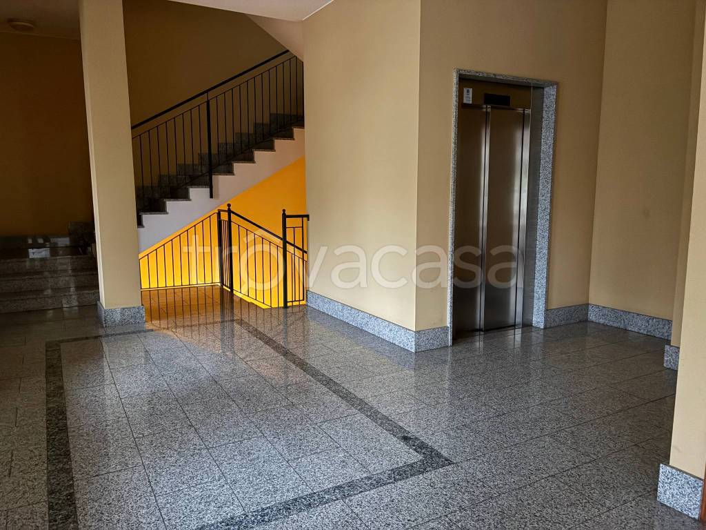 immagine annuncio 4 di 8