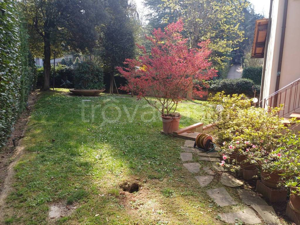 immagine annuncio 9 di 12