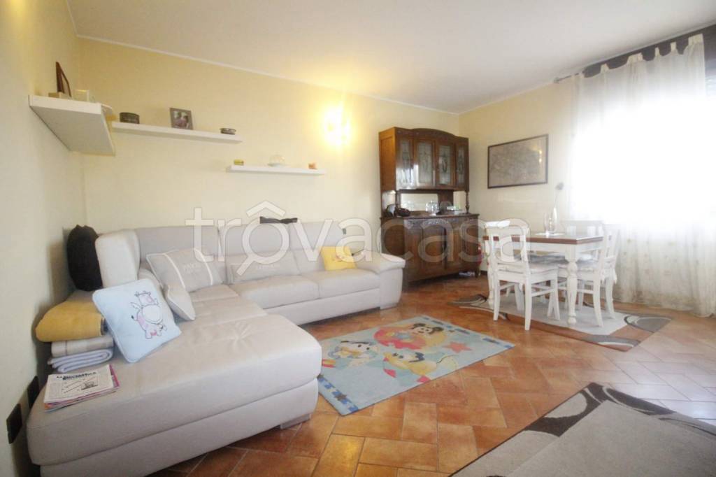 immagine annuncio 1 di 15