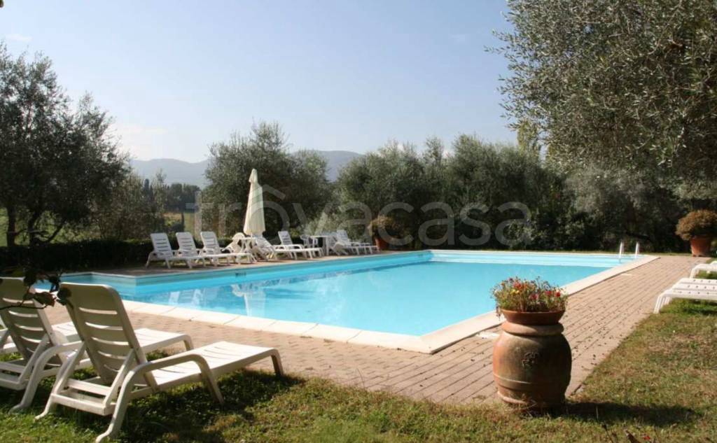 immagine annuncio 6 di 8