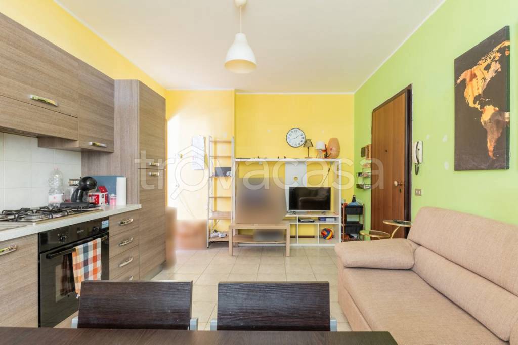 immagine annuncio 1 di 15