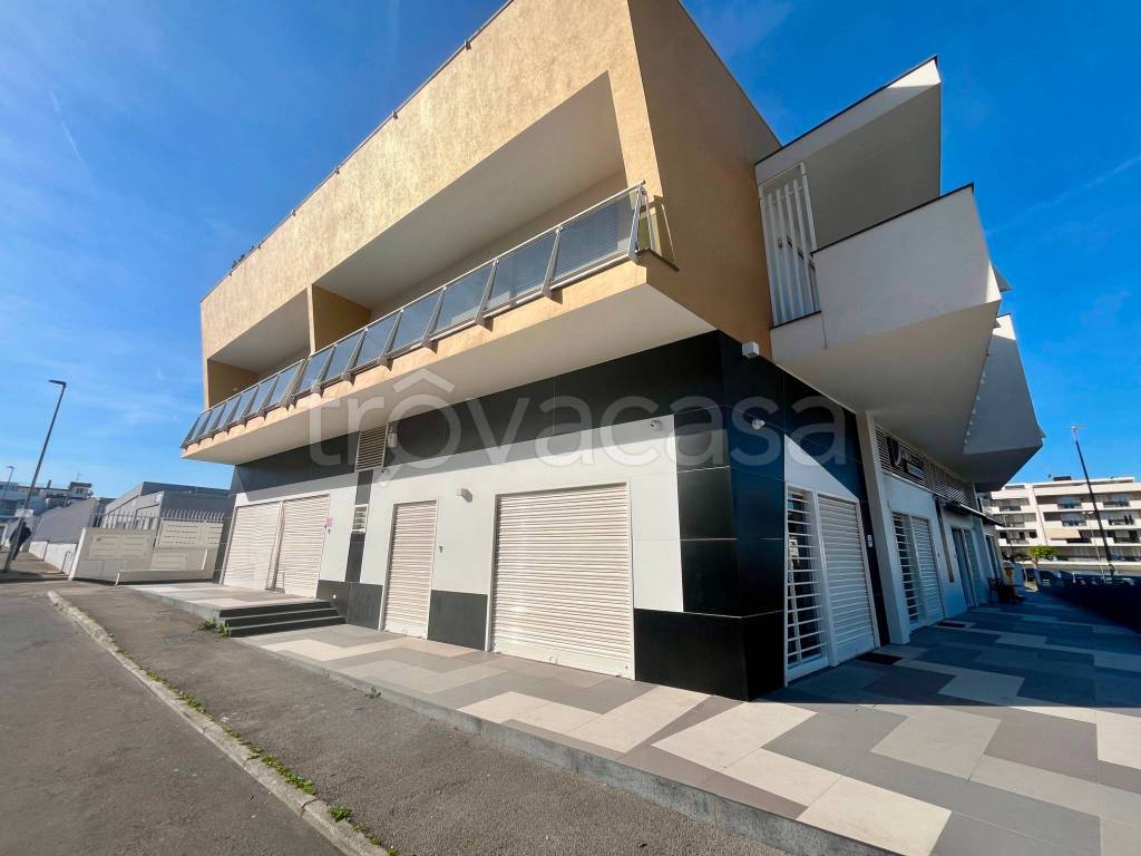 immagine annuncio 6 di 13