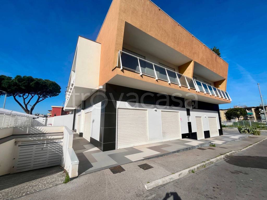 immagine annuncio 7 di 13