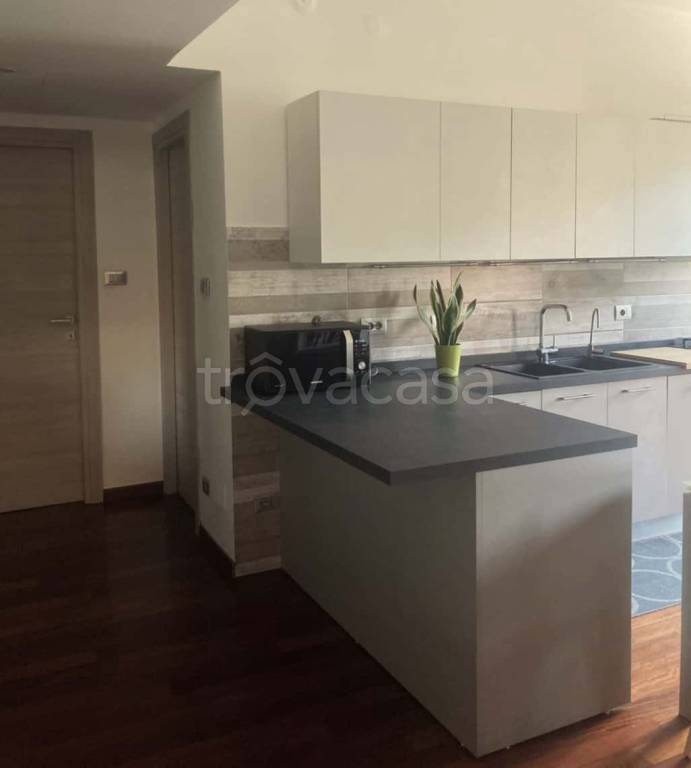 immagine annuncio 7 di 14