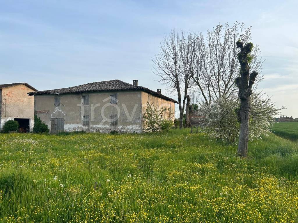 immagine annuncio 1 di 7