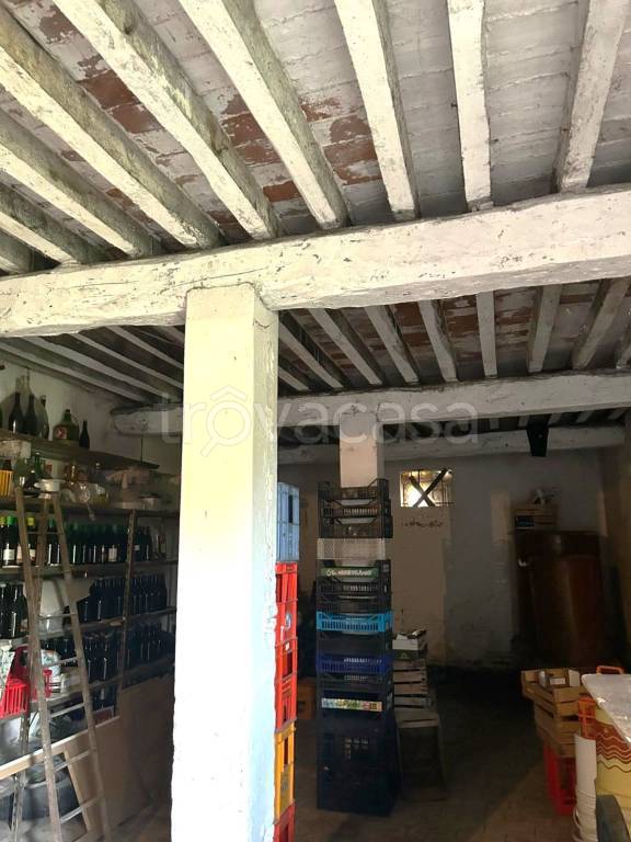 immagine annuncio 5 di 7