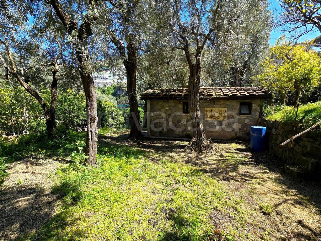 immagine annuncio 2 di 8