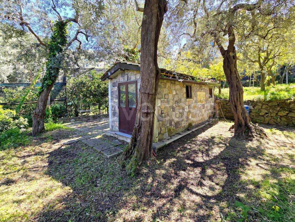 immagine annuncio 3 di 8