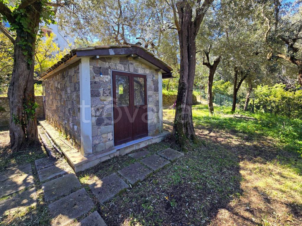 immagine annuncio 4 di 8