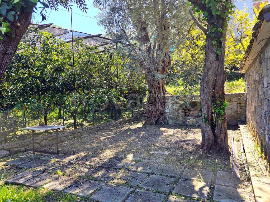 immagine annuncio 5 di 8