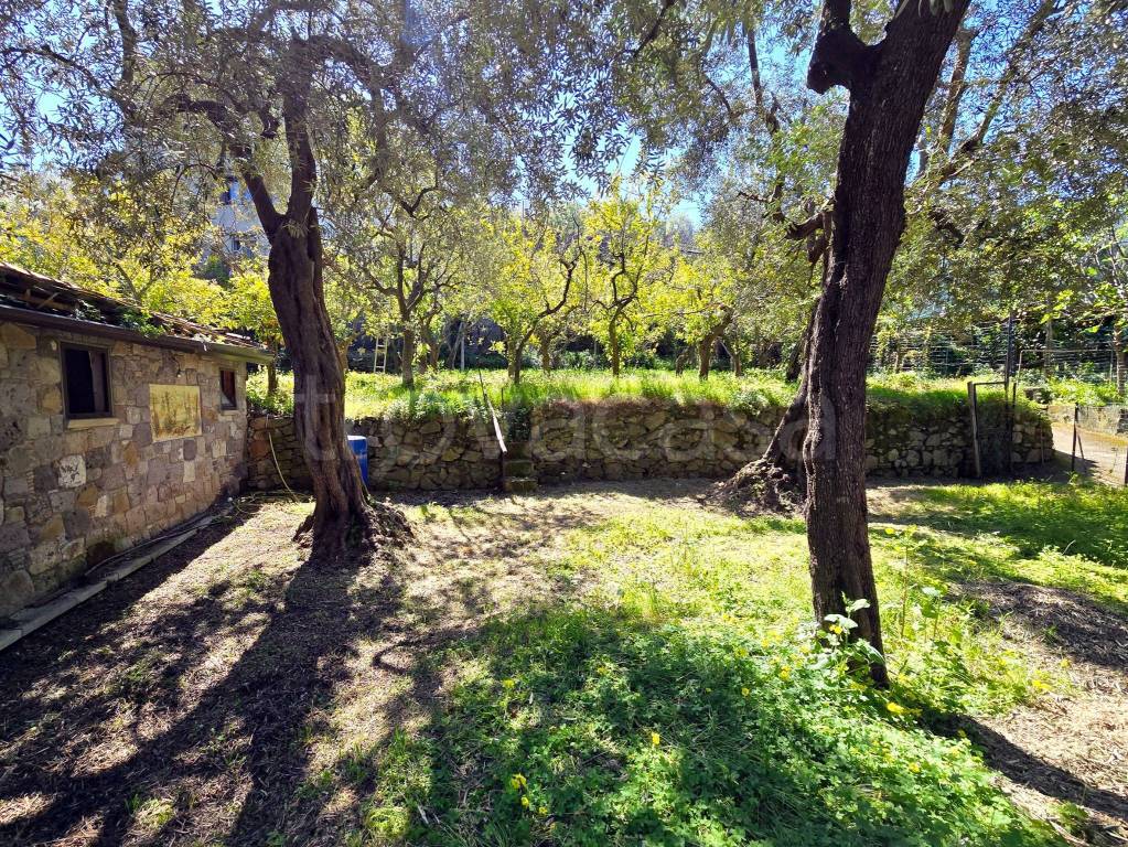 immagine annuncio 6 di 8