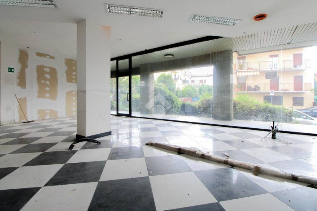 immagine annuncio 4 di 12