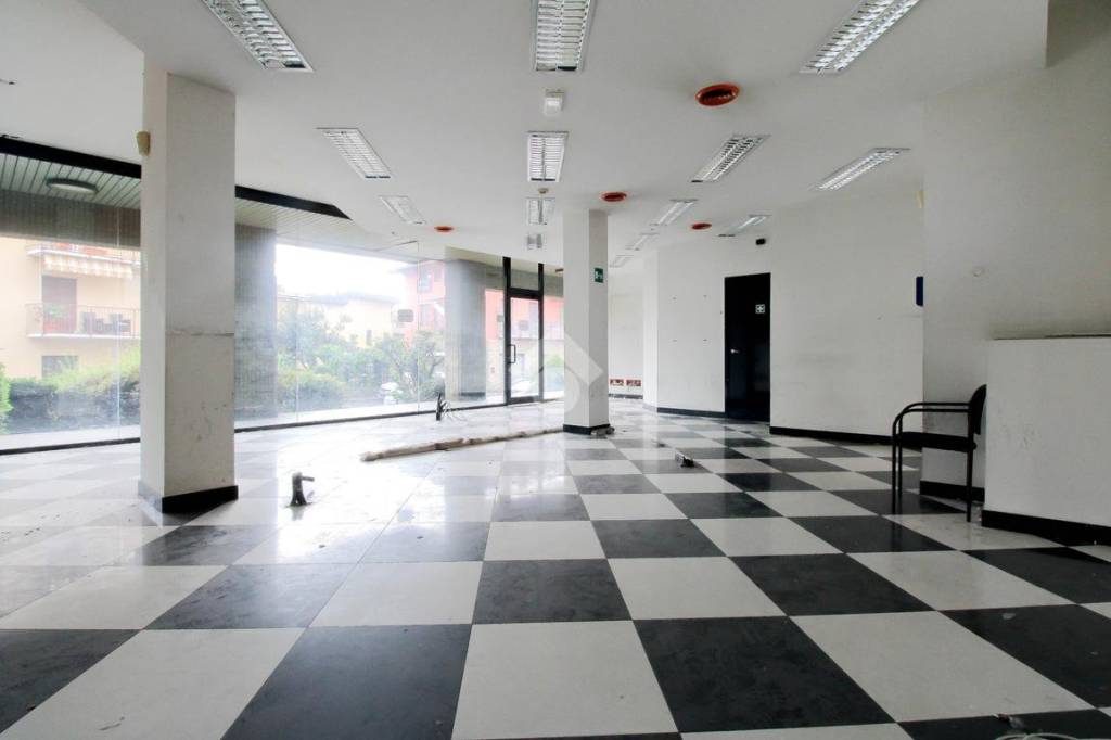 immagine annuncio 9 di 12