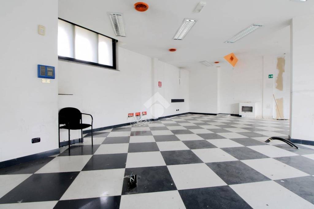 immagine annuncio 11 di 12