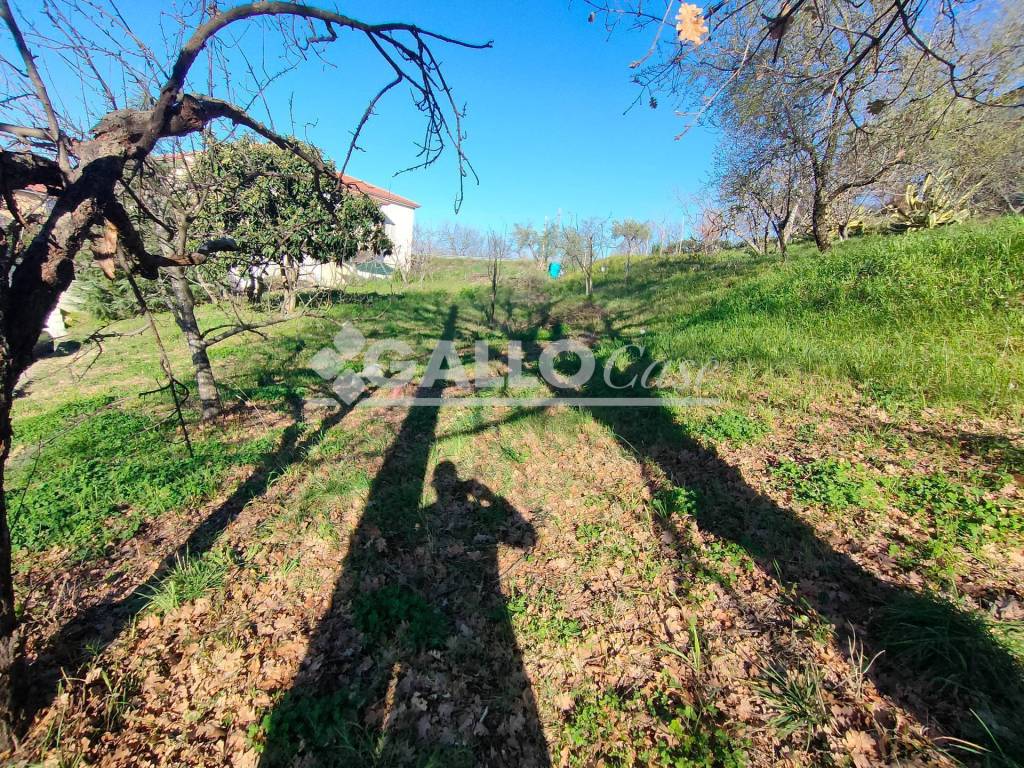 immagine annuncio 2 di 9