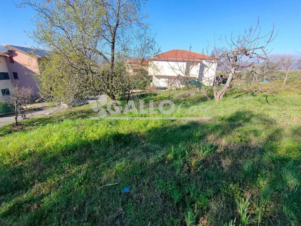 immagine annuncio 3 di 9