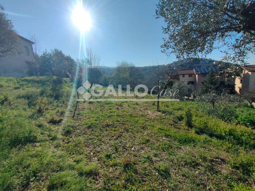 immagine annuncio 4 di 9