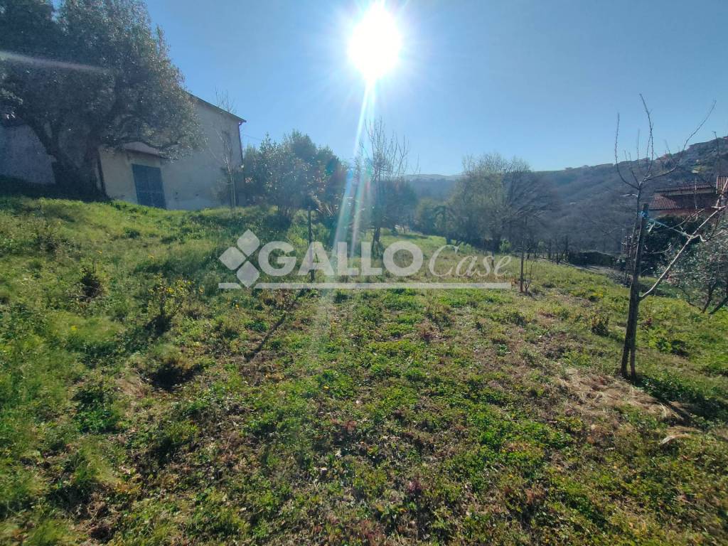 immagine annuncio 6 di 9