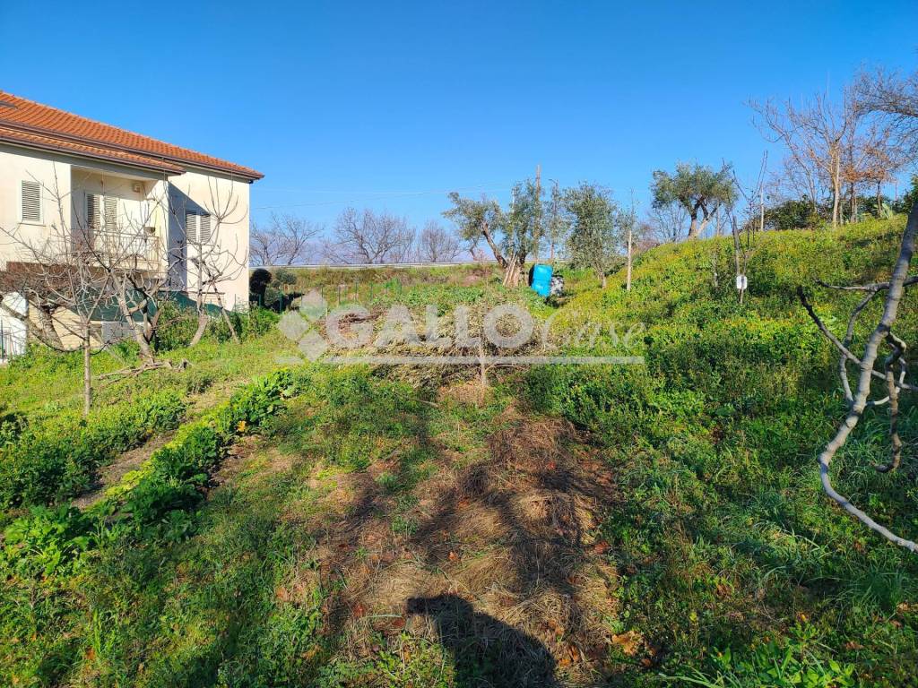 immagine annuncio 7 di 9