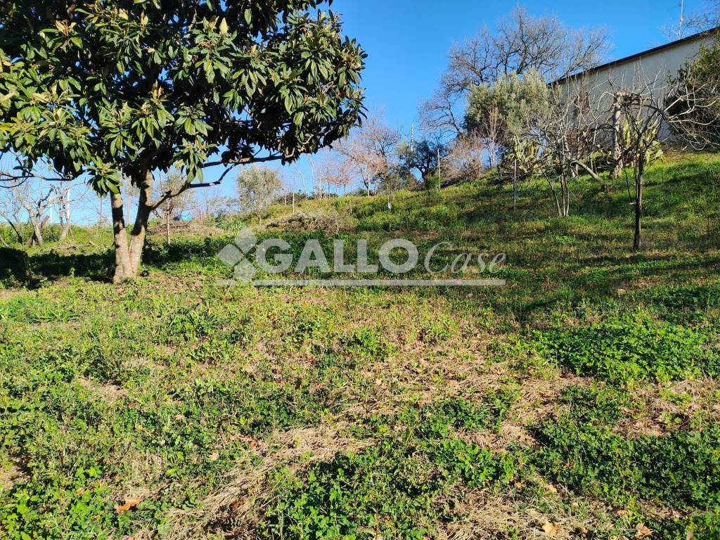 immagine annuncio 8 di 9