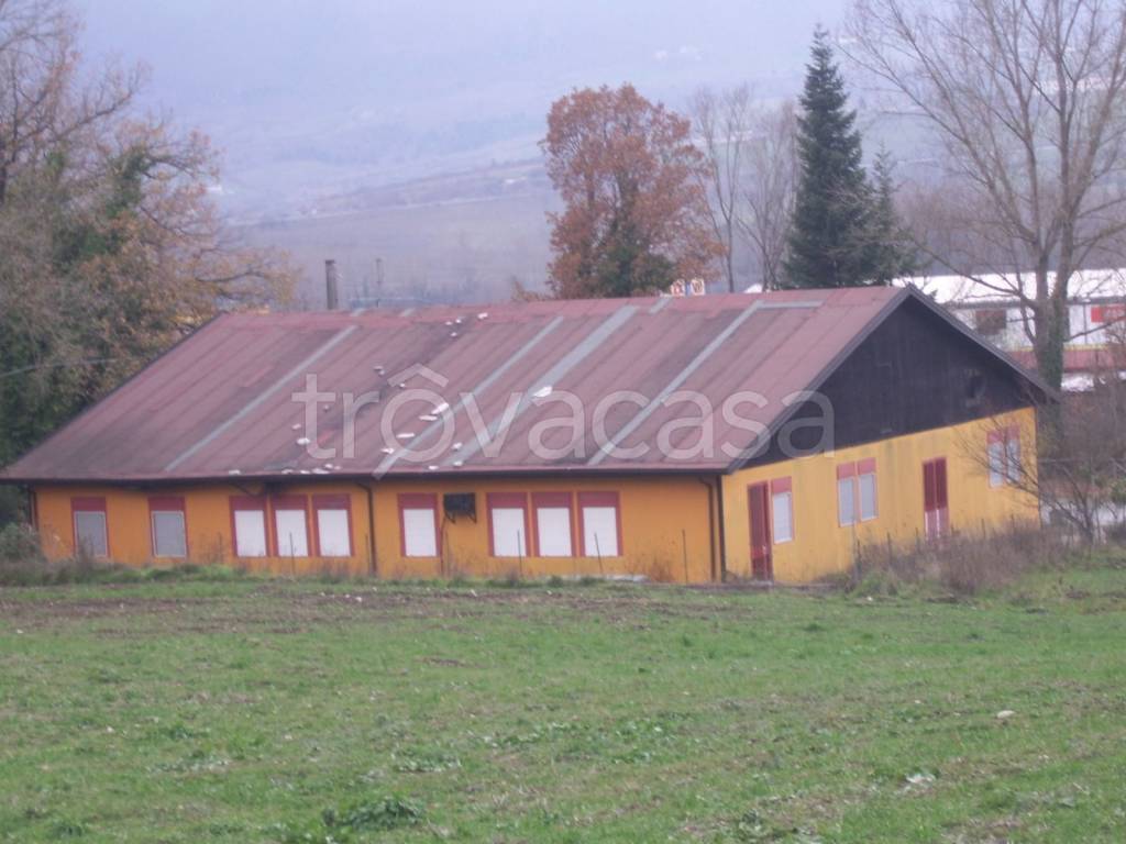 immagine annuncio 8 di 11
