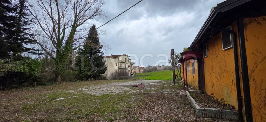 immagine annuncio 6 di 11