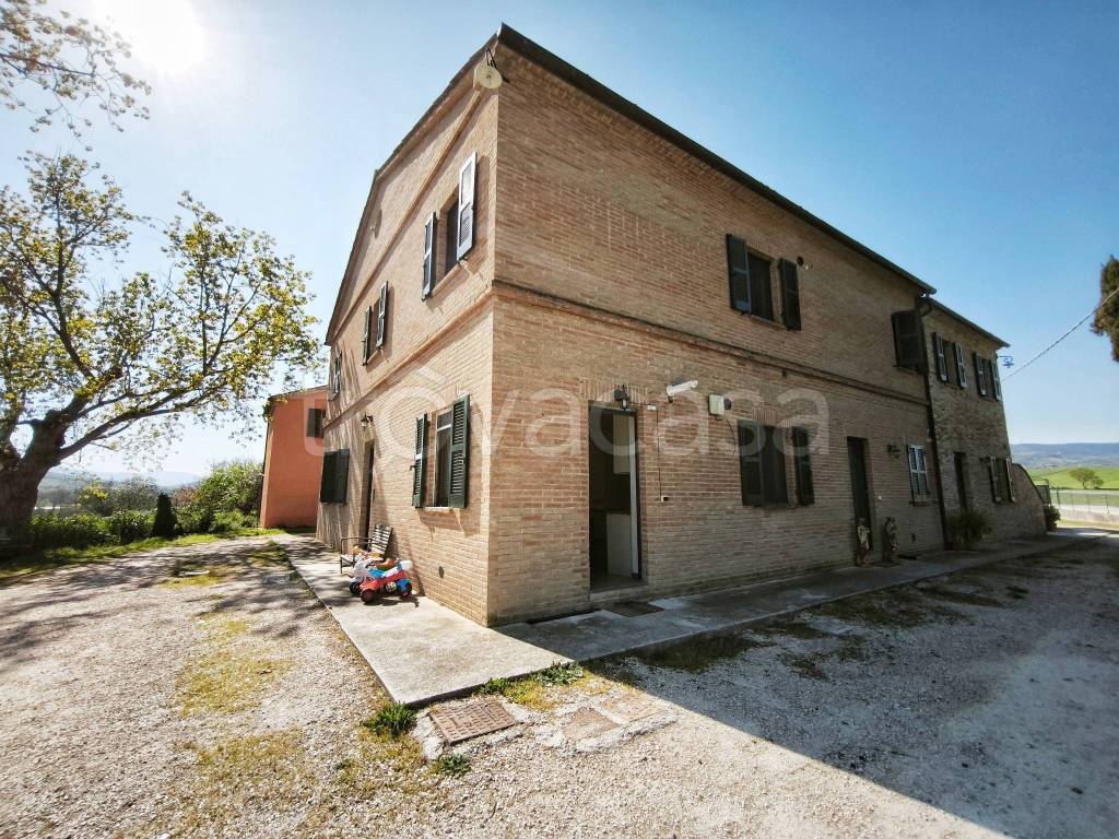 immagine annuncio 9 di 11