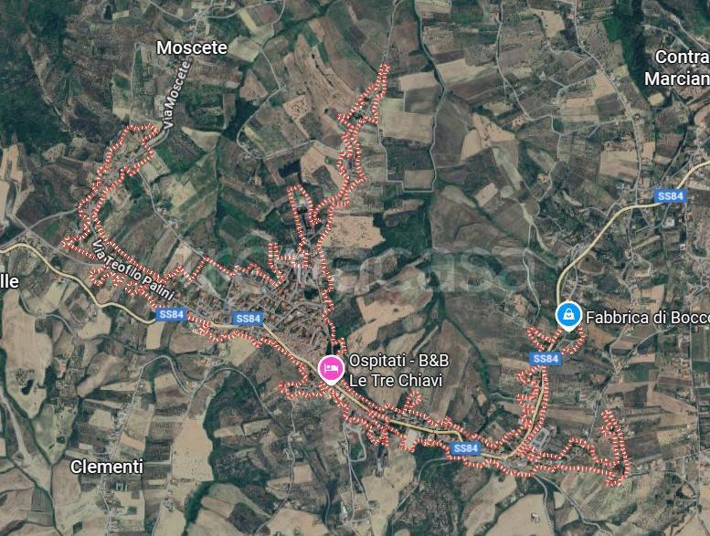 immagine annuncio 2 di 15