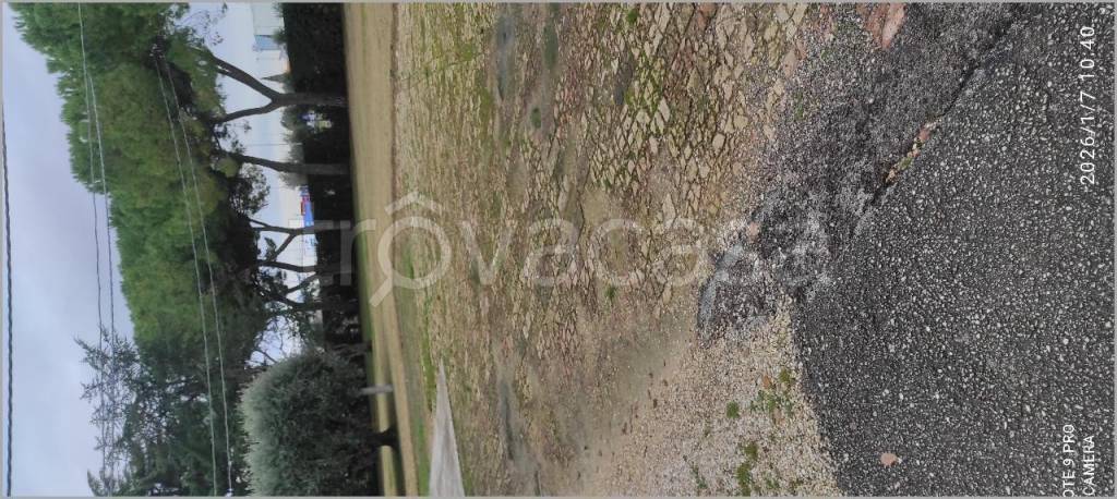 immagine annuncio 6 di 14