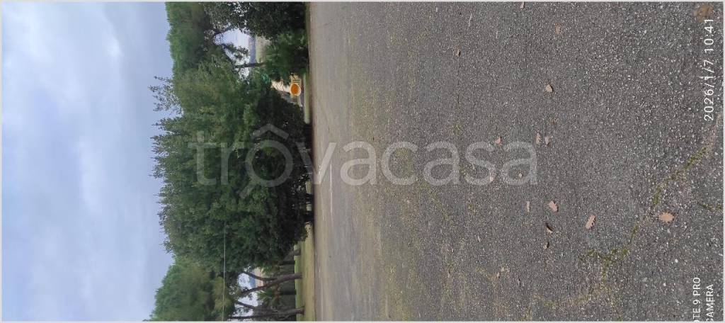 immagine annuncio 7 di 14