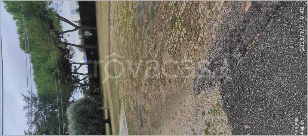 immagine annuncio 9 di 14