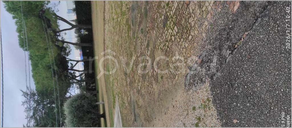 immagine annuncio 10 di 14