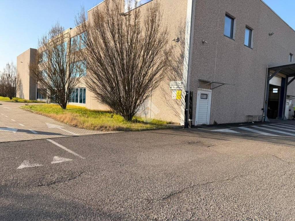 immagine annuncio 8 di 15