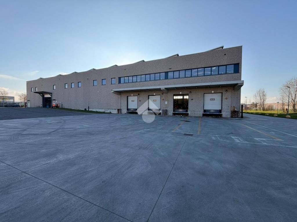 immagine annuncio 9 di 15