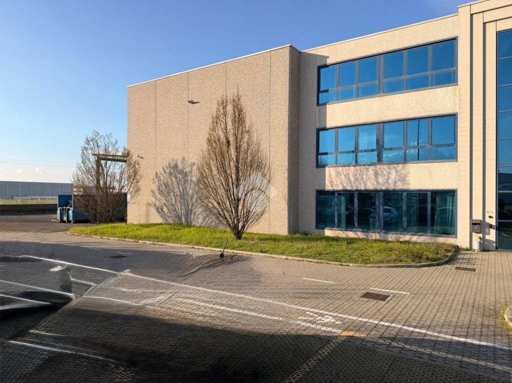 immagine annuncio 11 di 15