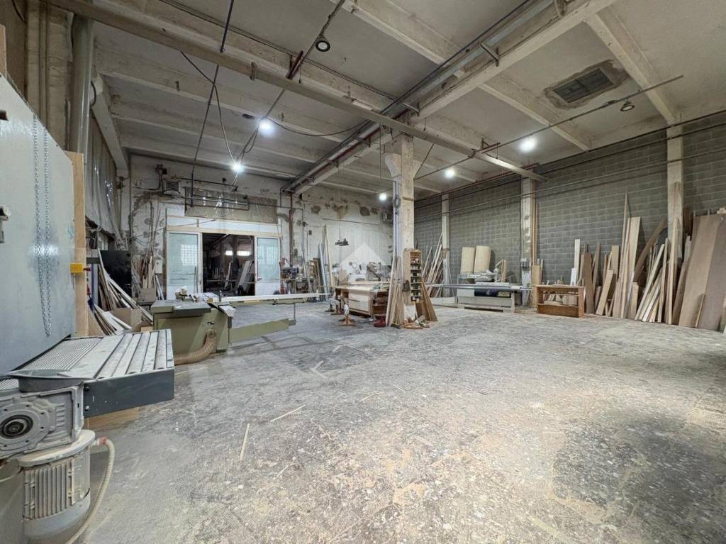 immagine annuncio 2 di 14