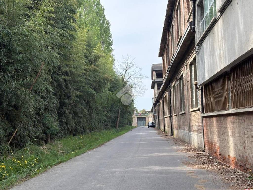 immagine annuncio 10 di 14